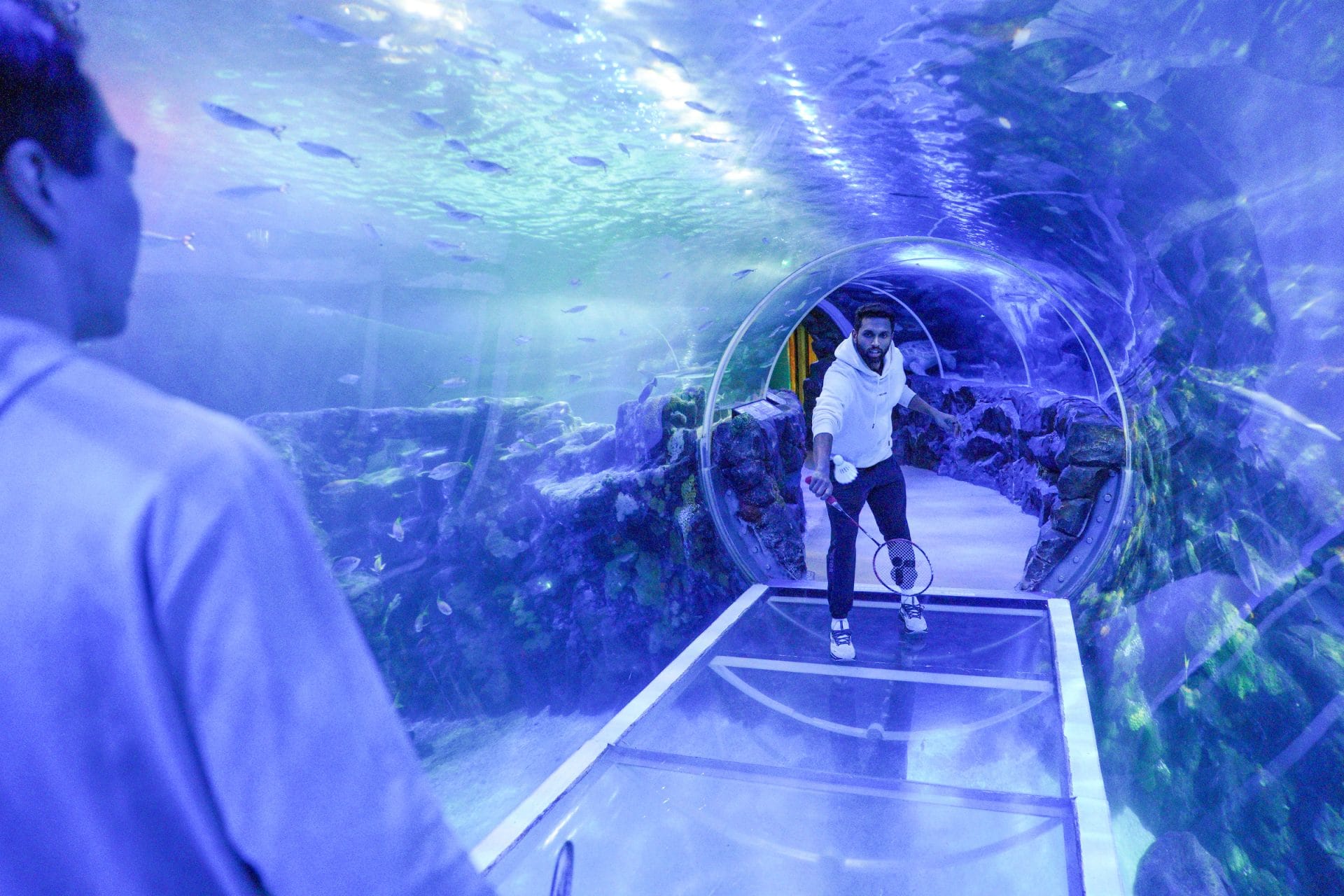 Temperature and String Life 04be green on earth day 2024be green on earth day 2024 2