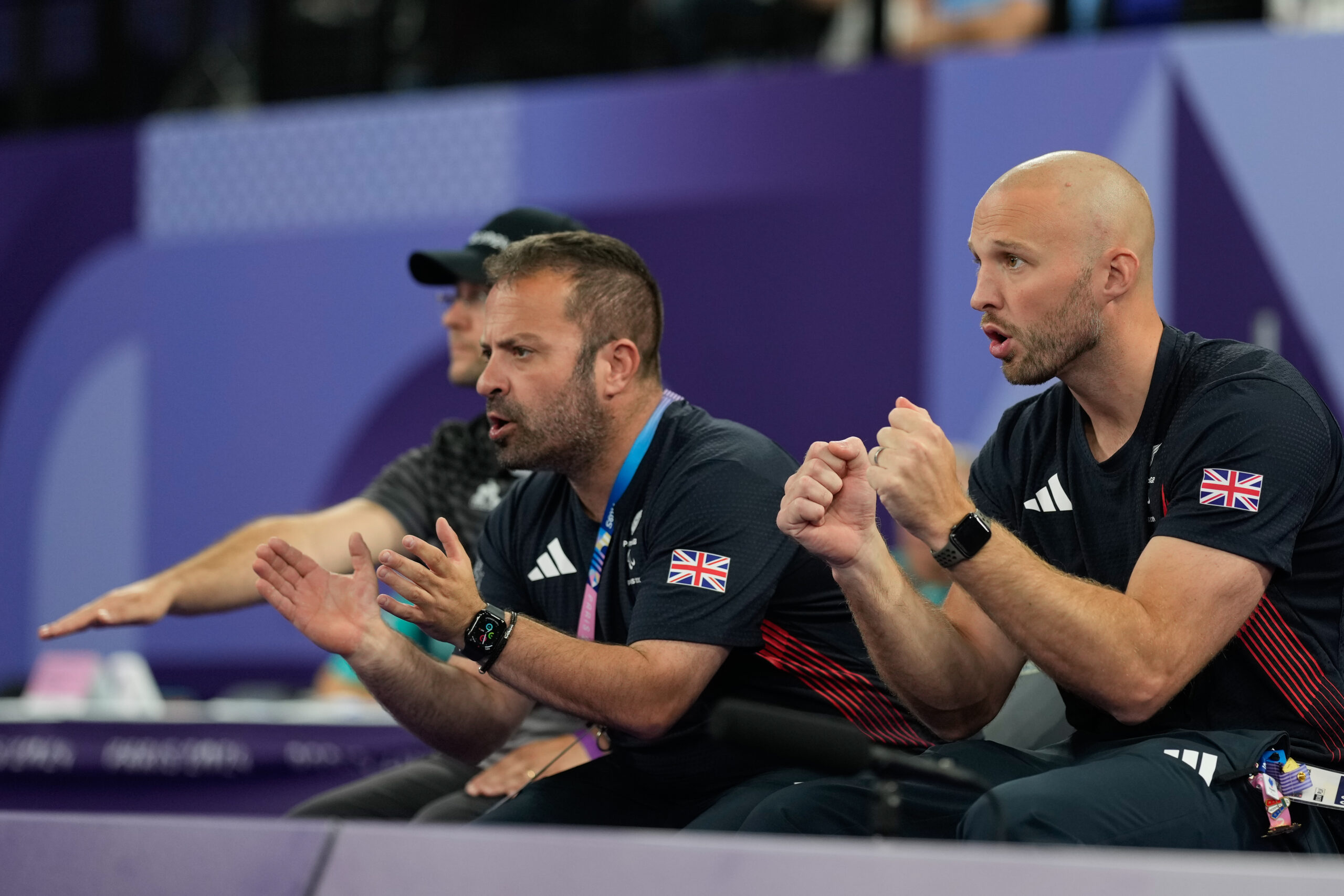 A revised structure to enable our para badminton programme to flourish a revised structure to enable our para badminton programme to flourish