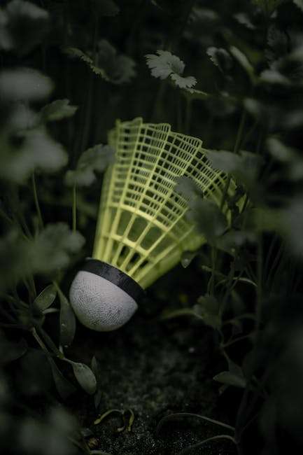 How Shuttle Flash Badminton is Gaining Popularity Worldwide F IMG 681822f95fdb0