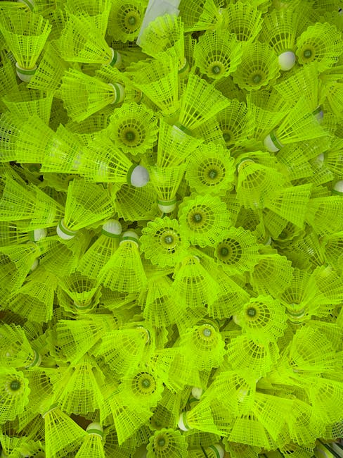 How to Train for Shuttle Flash Badminton on a Budget F IMG 68be31bb6efec